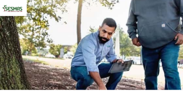 protect your trees in winter