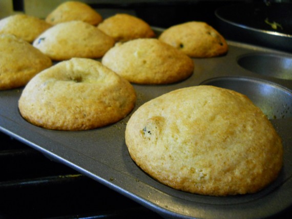 gluten free blueberry muffins, glutenfree blueberry muffin recipe