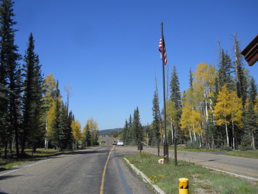 kaibab national forest