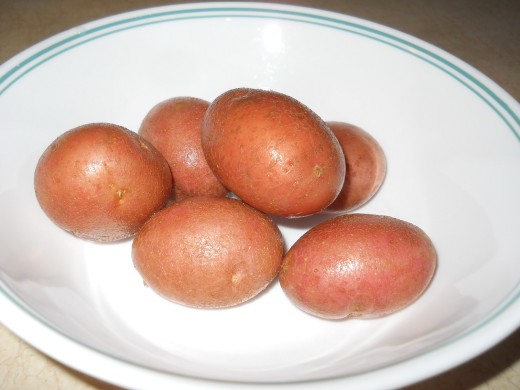 Rooster Potatoes from Albert Bartlett