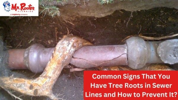 Mr. Rooter Plumbing of Dallas