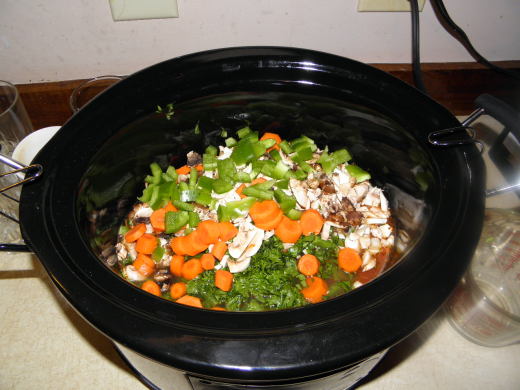 Slow Cooker Meals are so handy!