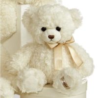 teddy bear 11"