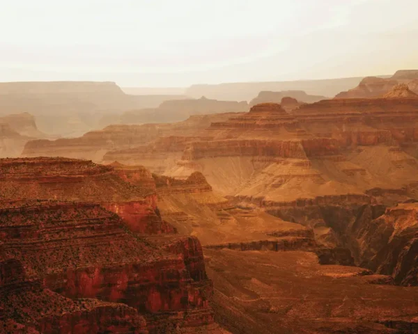 removeable wallpaper for renters